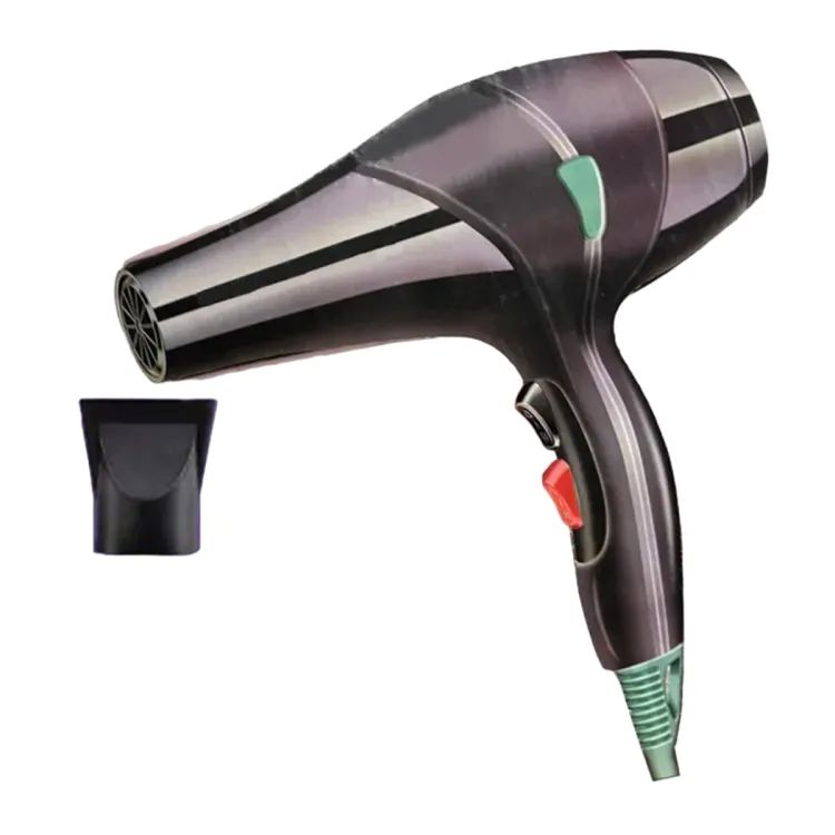 Professional Hair Dryer